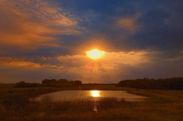Canada, Saskatchewan, Dubuc Sunset over pond